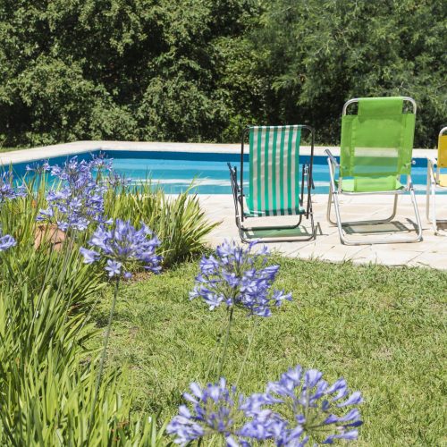 chaises-pliantes-pres-de-la-piscine-et-de-la-pelouse-dans-la-cour